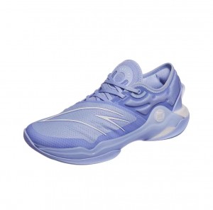 Anta Skyline 1 V2 Basketball Shoes Purple | QFX364902